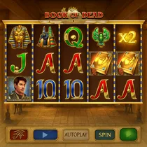 PlayMillion - Book of Dead Slot Game